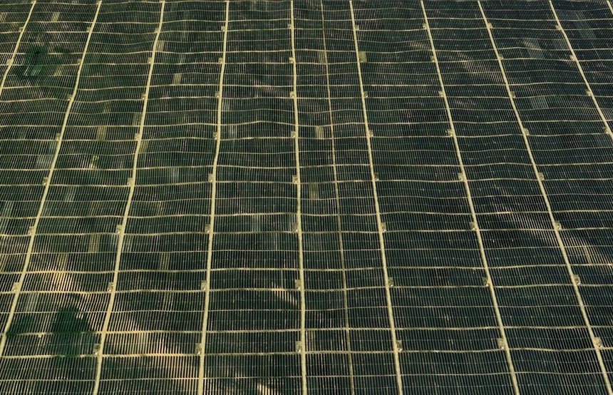 Una de las zonas más áridas de China está reverdeciendo. El motivo: un planta con siete millones de paneles solares