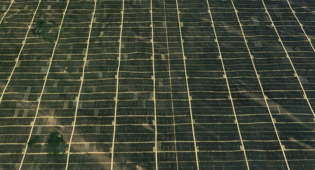Una de las zonas más áridas de China está reverdeciendo. El motivo: un planta con siete millones de paneles solares
